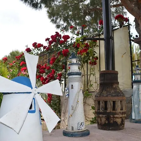 Πανσιόν Guzelyali Ayvalı
