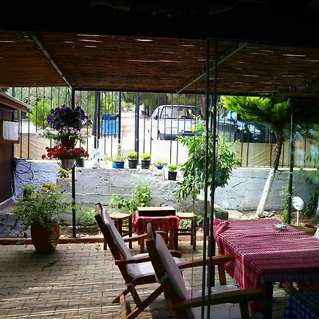 Guzelyali Ayvalı